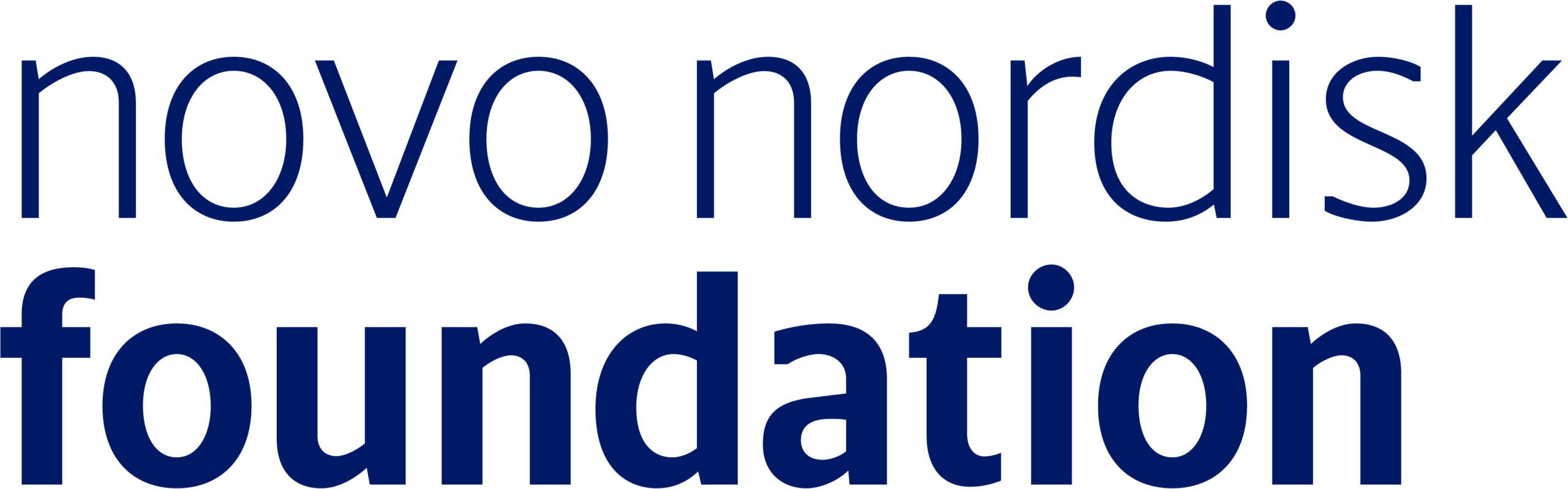 NNF INT logo blue RGB solid 1 scaled